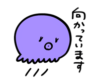 867682508