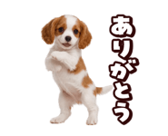 867691691