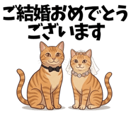 867749629