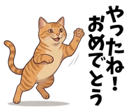 867749633