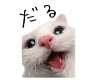 867754817