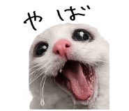 867754818