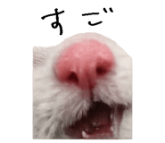 867754819