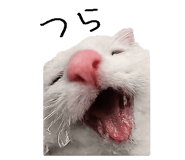 867754820