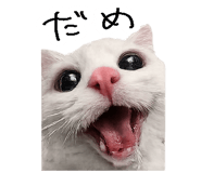 867754821