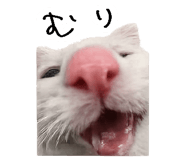 867754822