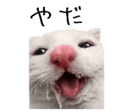867754824