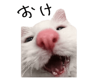 867754825