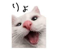 867754826