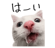 867754828