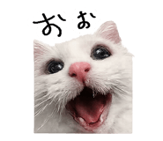 867754830