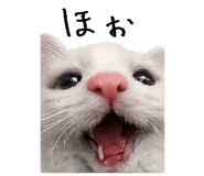 867754832