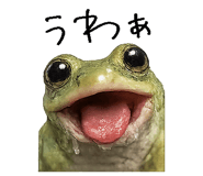 867754834