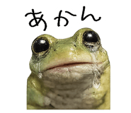 867754835