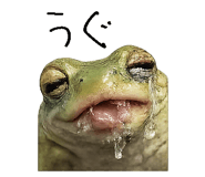 867754839