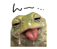 867754840