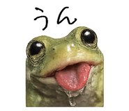 867754843