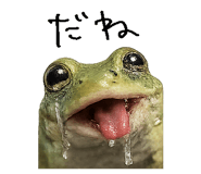 867754844