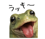 867754846