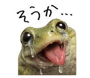 867754848