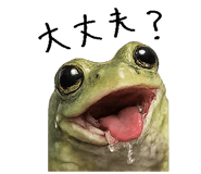 867754856