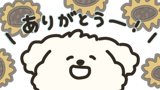 867904573