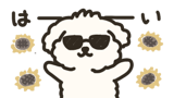 867904589