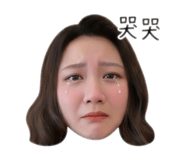 867963373