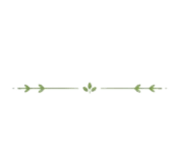 867965895