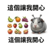 867997302