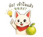 868113992