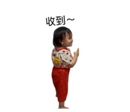 868127513