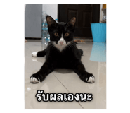 868161897