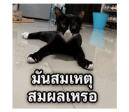 868161900