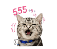 868244336