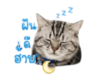 868244346