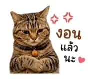 868247548