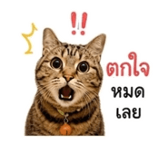 868247550