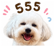 868253105