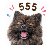 868253116