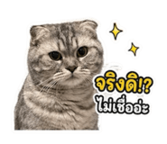 868259247