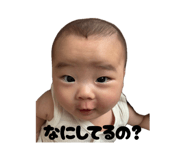 868355557
