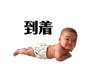 868355567