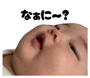868355573