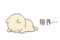868418923
