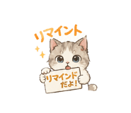 868457142
