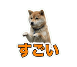 868458153