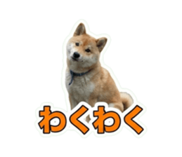 868458157
