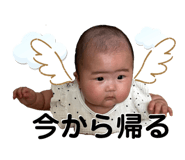 868506442
