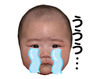868506444